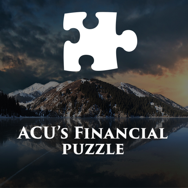 Financial Puzzle